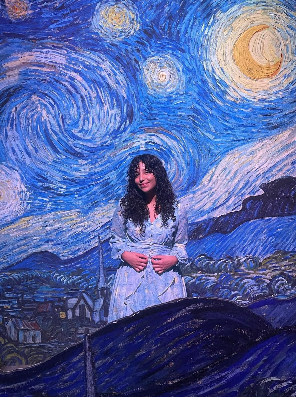 Van Gogh Starry Night dreamy long dress